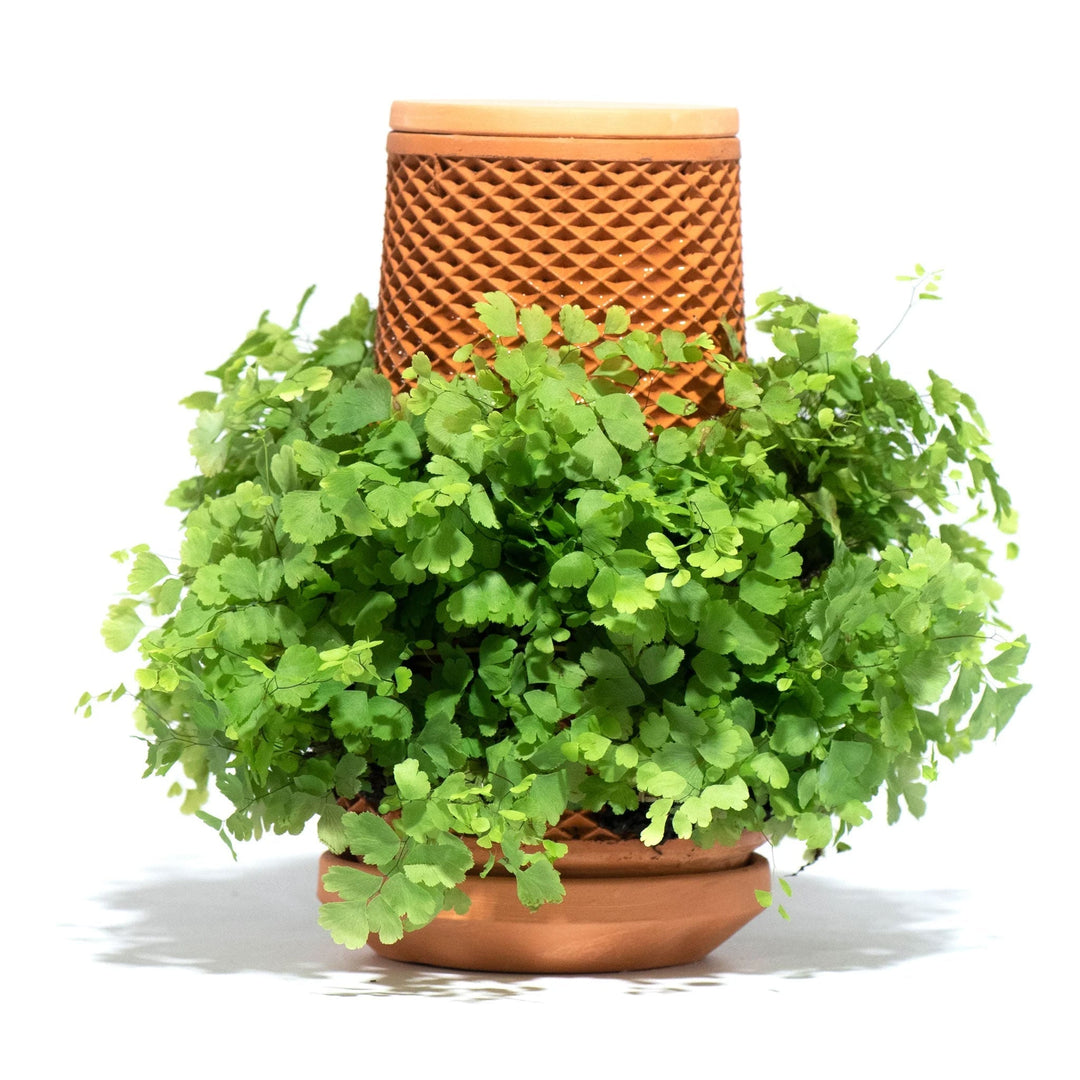 Indoor Gardening Supplies